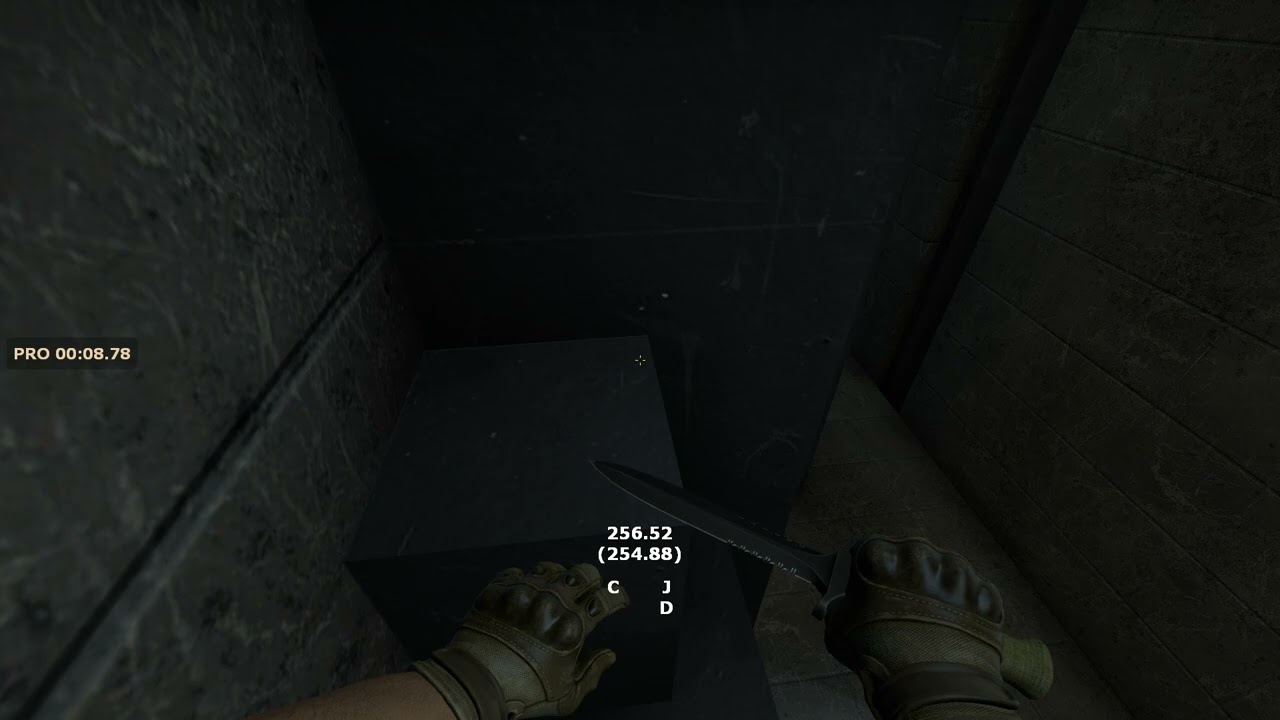 kz_kiwimirific in 23.977 SKZ WR by Mugen