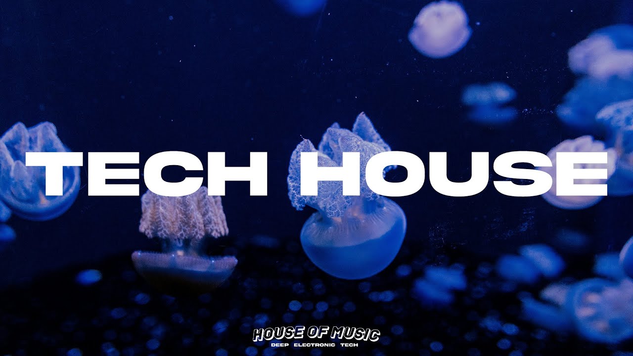 Tech House Mix 2024 | FEBRUARY