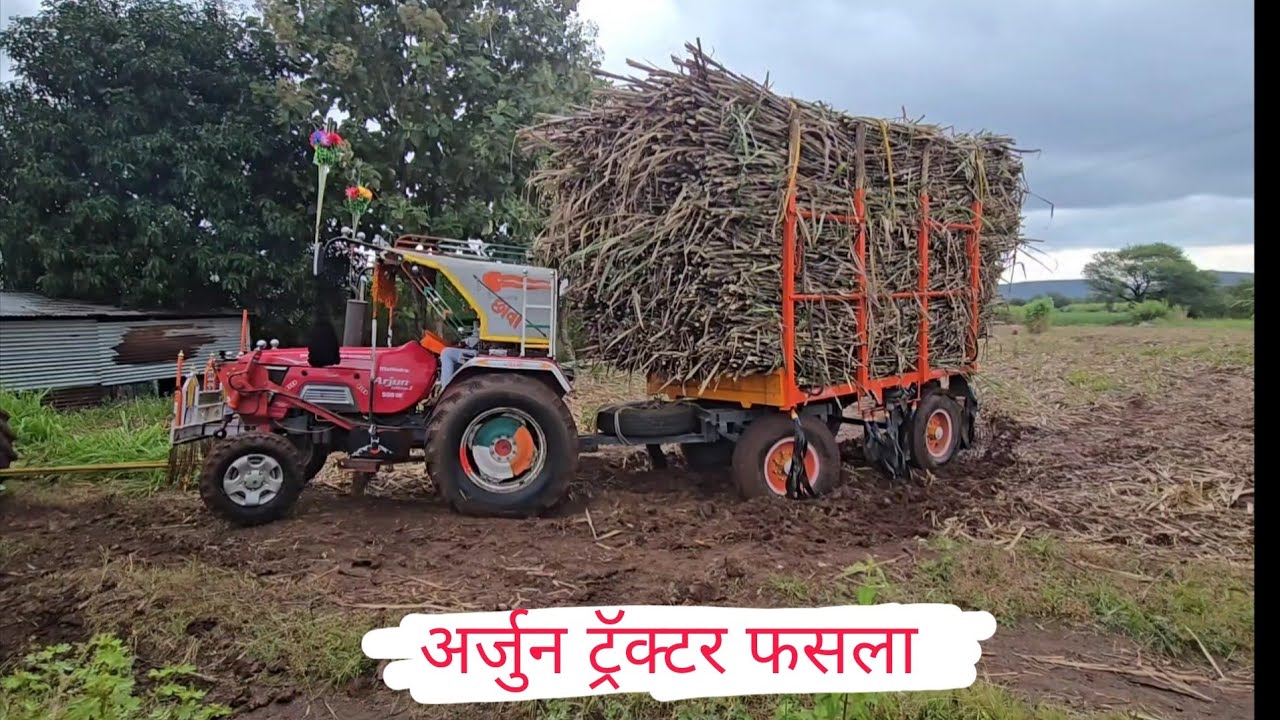 अर्जुन ट्रॅक्टर उसाच्या फडात फसला