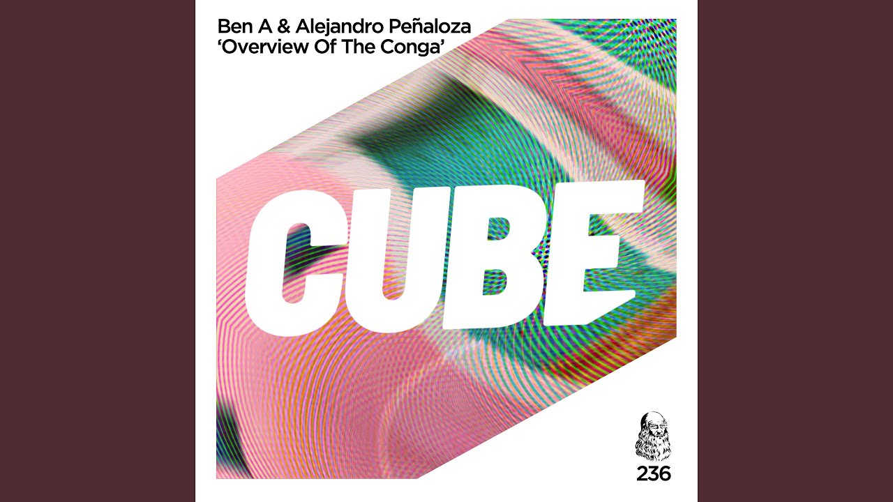 Overview of the Conga (The Cube Guys Radio Edit)
