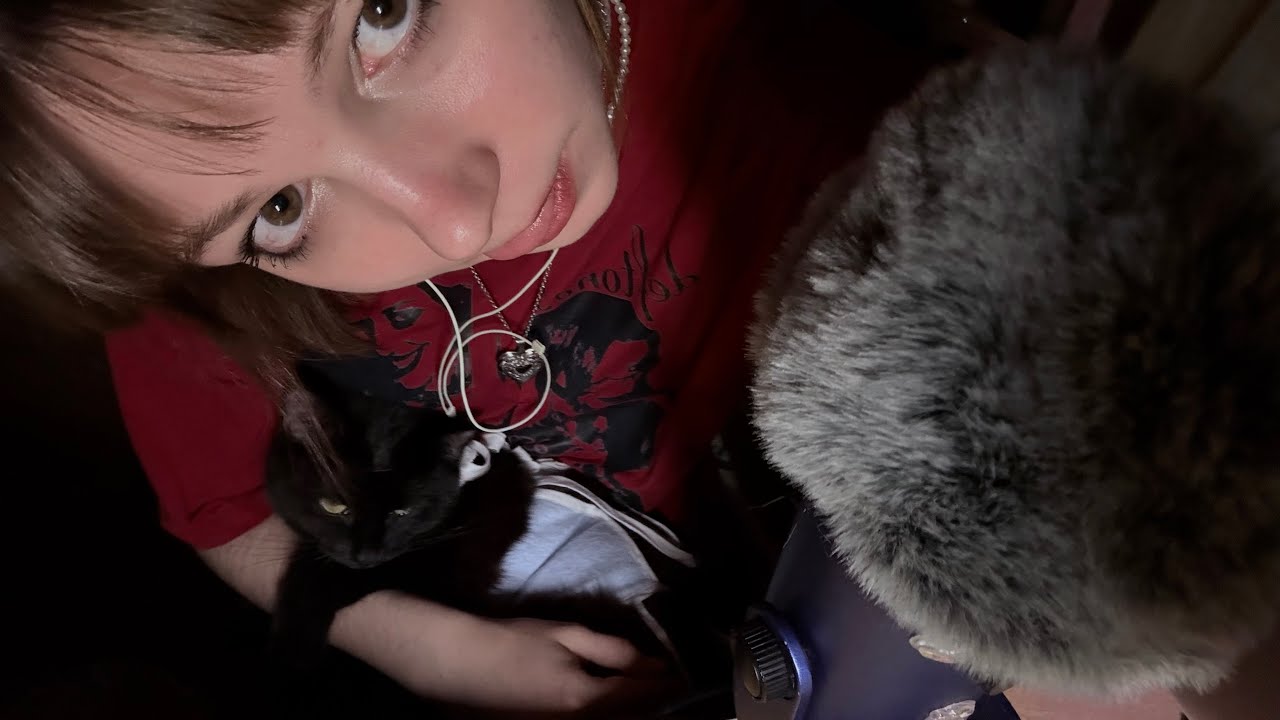 asmr шорох, шепот, котики, клубнички 