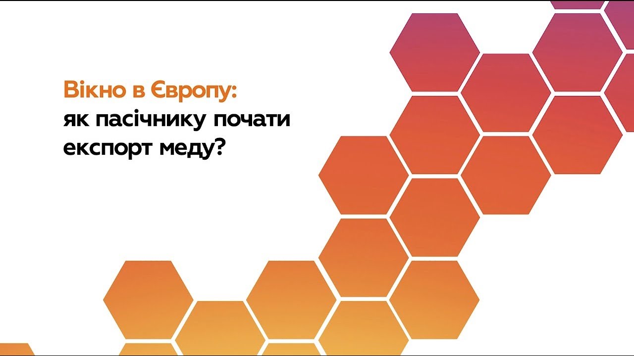 Как пчеловоду начать экспорт меда? Продажа меда в Европу