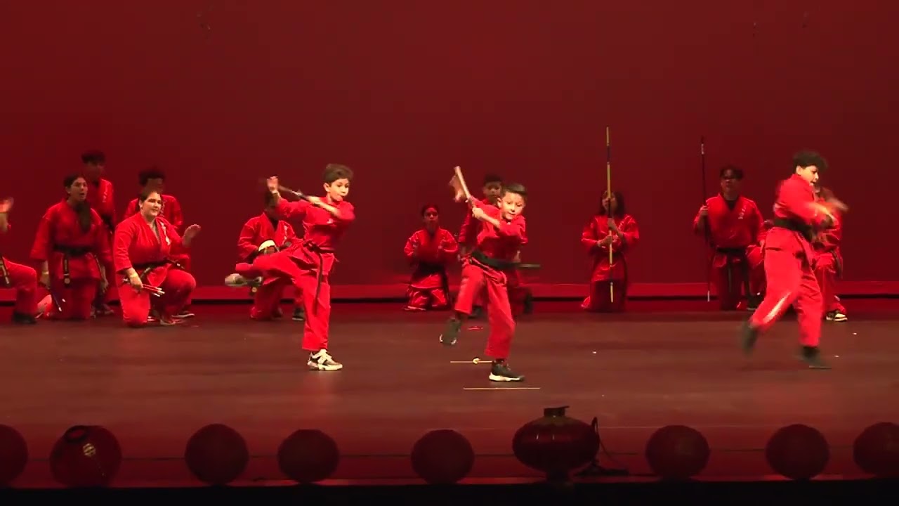 Martial Arts   Team Victory 武术