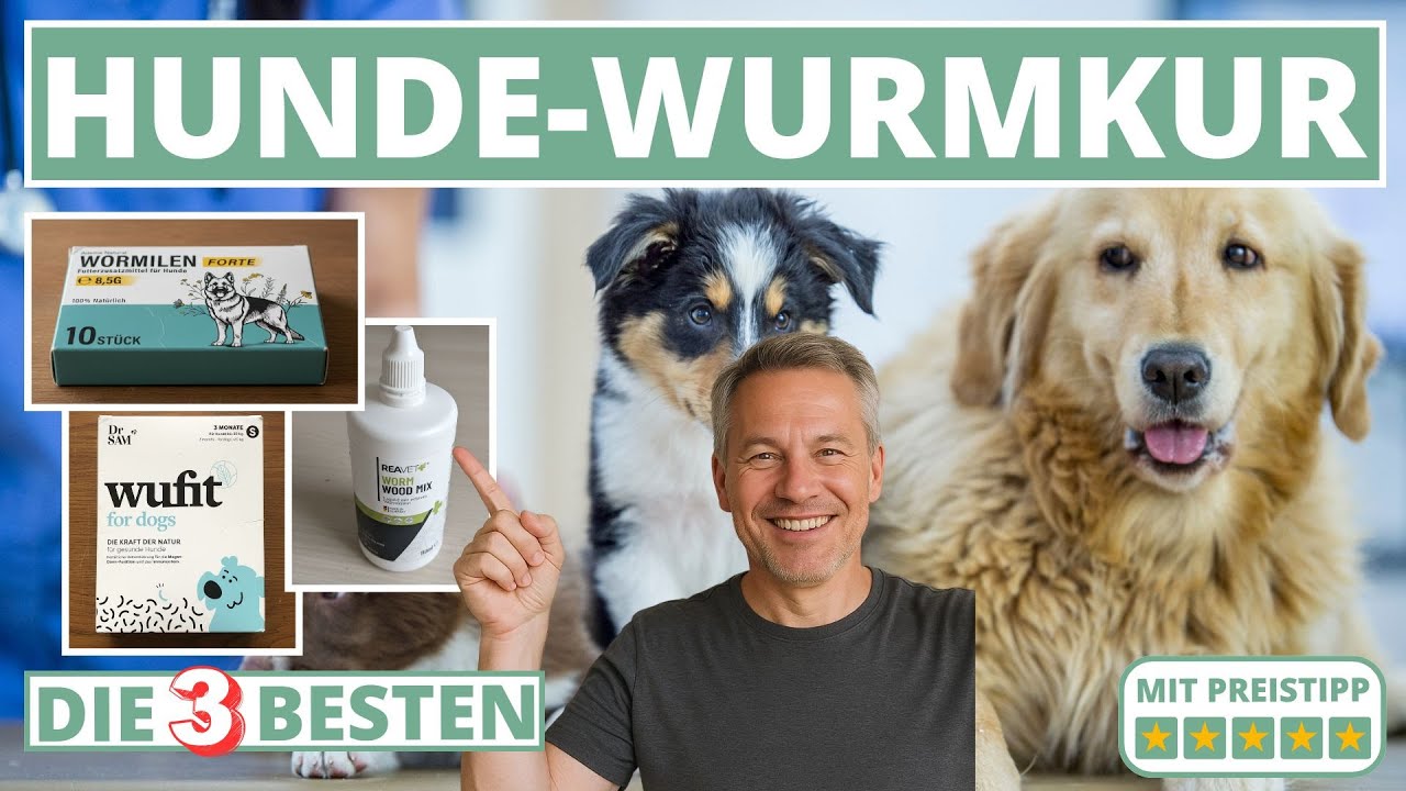 Beste Hunde-Wurmkur - Meine Top-3!