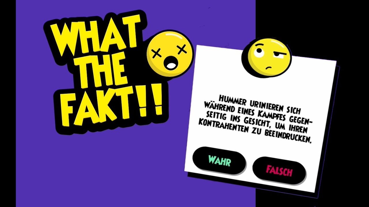 11 QUIZZFRAGEN &ndash; WAHR oder FALSCH???  | WHAT THE FACT mit PIXEL D&Ouml;RTE  (*mobile gaming*)
