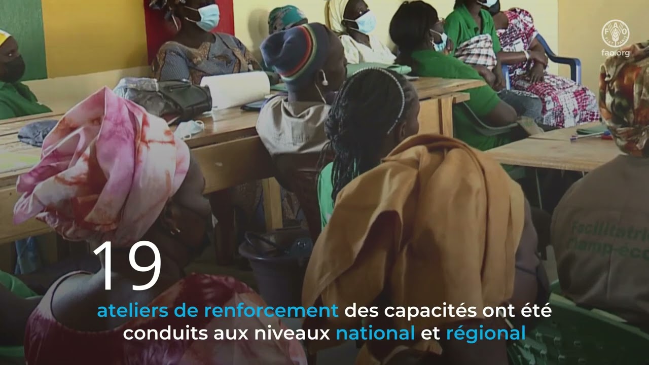 S&eacute;curit&eacute; alimentaire : une adaptation acc&eacute;l&eacute;r&eacute;e  : De la phase pilote &agrave; la mise &agrave; echelle