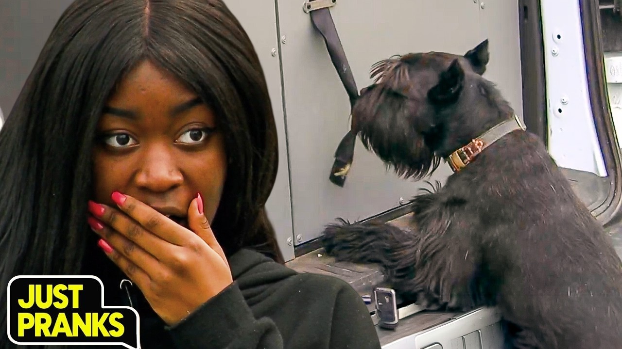 Watch This Dog Save His Friends | Just Pranks