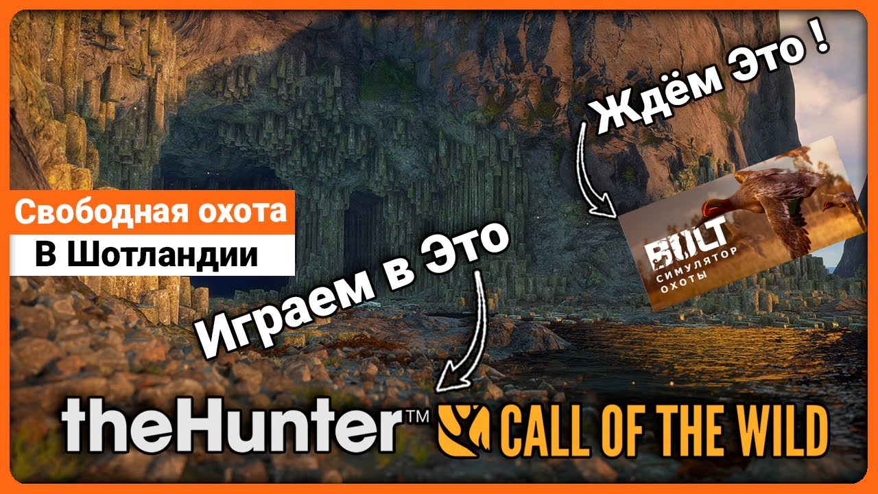 Свободная охота в ожидании BULT - theHunter Call of the Wild