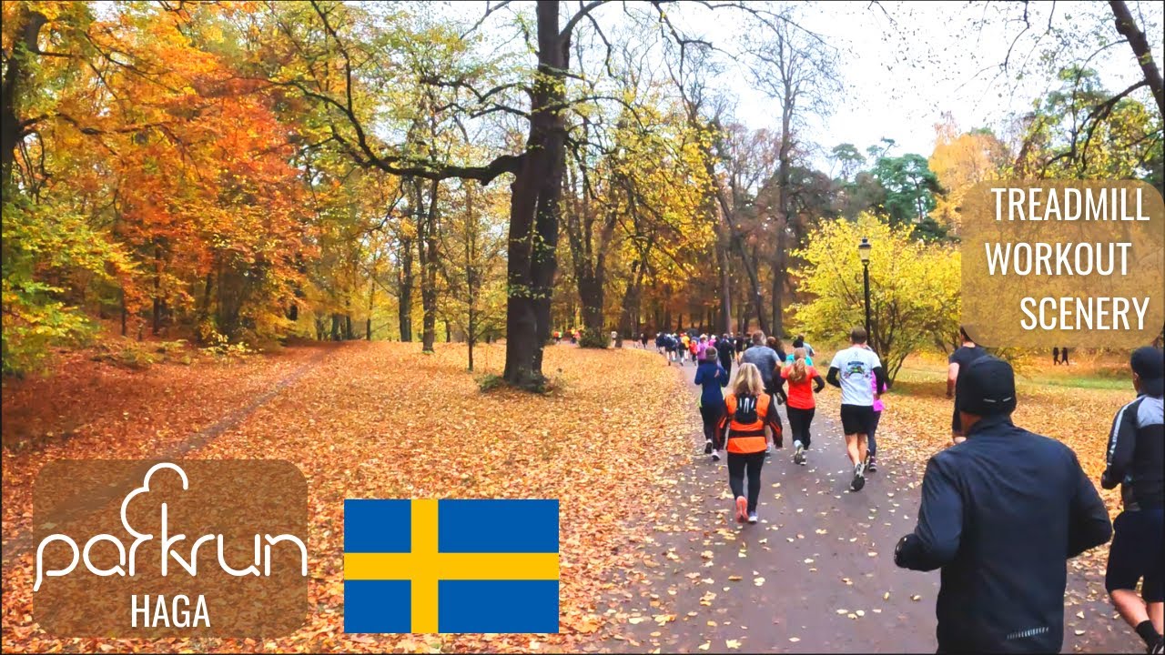 5 KM Stockholm Haga parkrun Treadmill Workout Scenery | Stockholm Sweden | Virtual Run / Walk ASMR