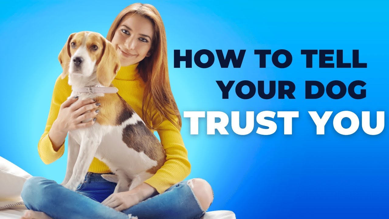 How To Tell Your Dog TRUST You