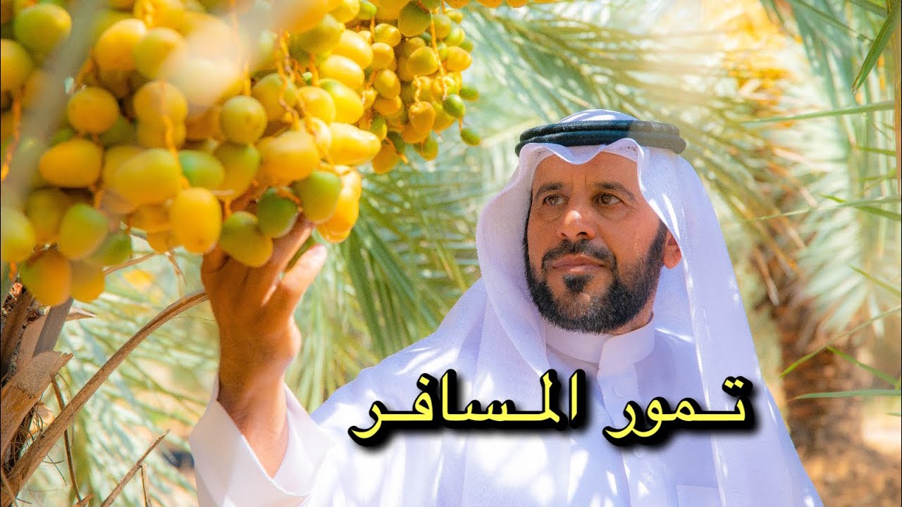 كرنفال بريدة للتمور