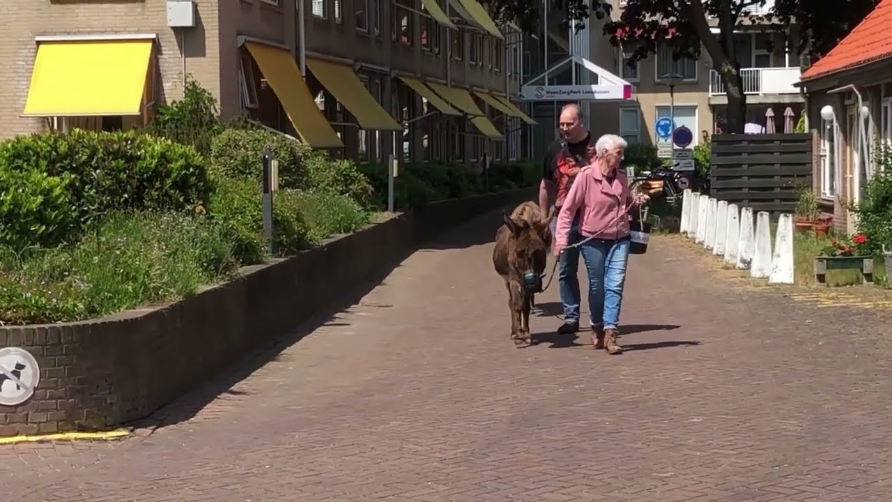 Op bezoek bij WoonZorgPark Loosduinen