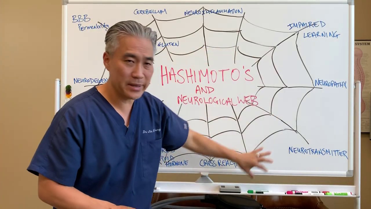 Hashimoto's Thyroiditis and Neurological Web.