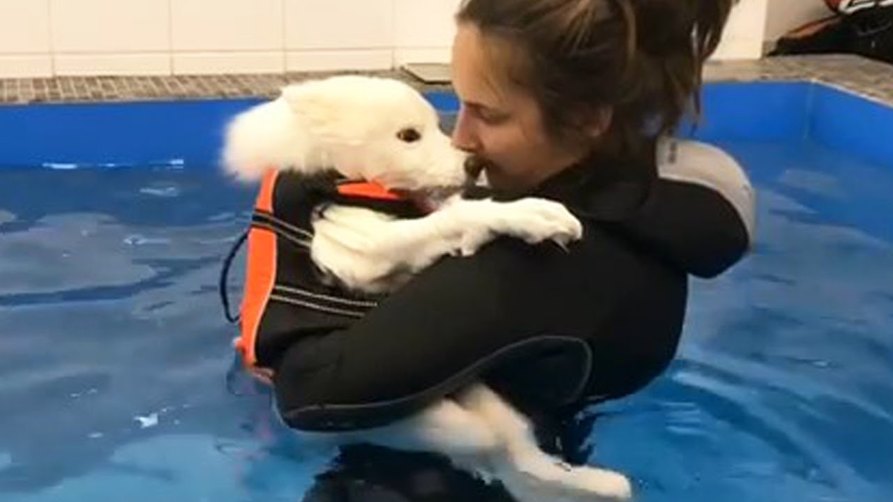 The puppy with a birth defect crying by the trash can and heartwarming ending