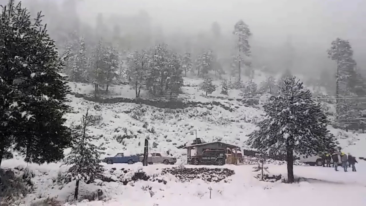 Veracruz CUBIERTO DE NIEVE: EXTREMA NEVADA EN COFRE DE PEROTE, SITUACIÓN TERRIBLE 