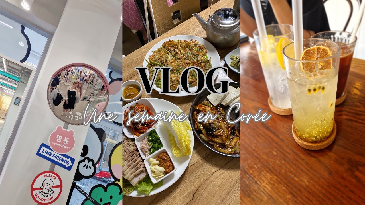 Une semaine de folie en Corée - Vlog Catastrophique #08