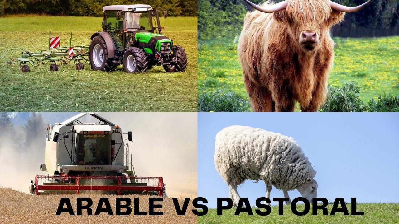 Arable vs Pastoral Farming