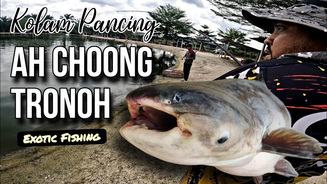 Penangan Tarikan Mekong Kolam Ah Choong | Sampai Kangkang Mata Kail 😱😱