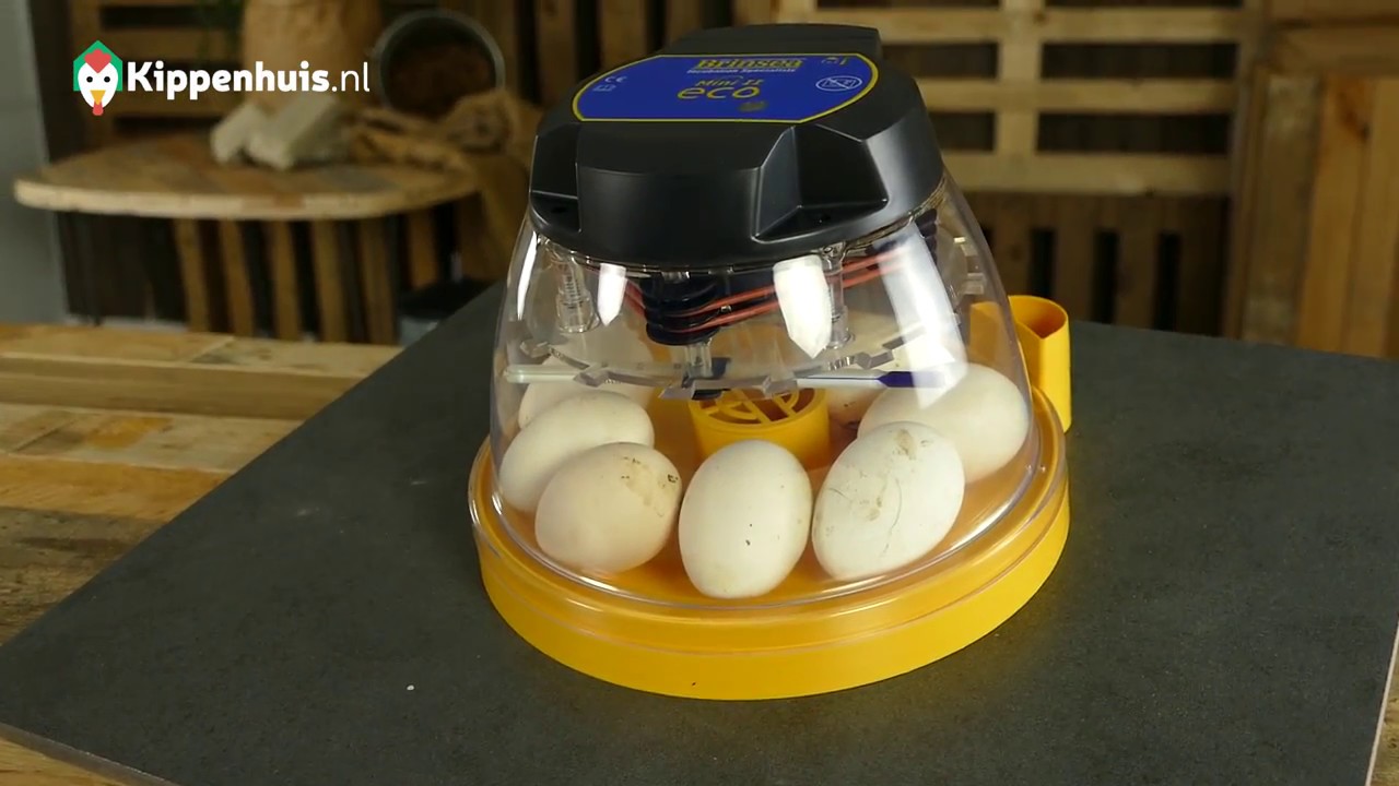 Broedmachine Brinsea Mini Eco &ndash; Kippenhuis.nl