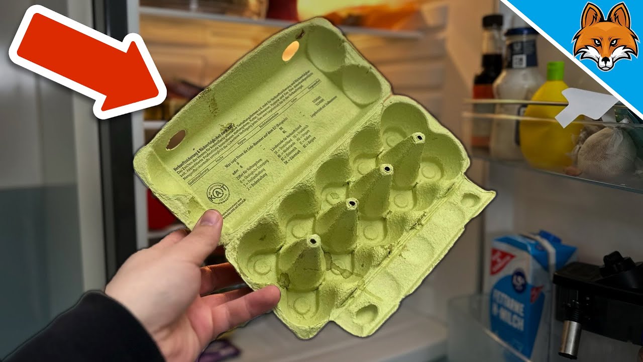 DESHALB solltest du Eierkartons NIEMALS wegwerfen💥(GENIALER Trick)🤯