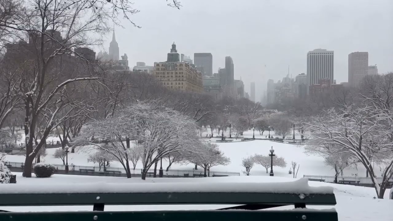 Central Park Snowfall ASMR ❄️ 10 Hours for Sleep, Study & Focus