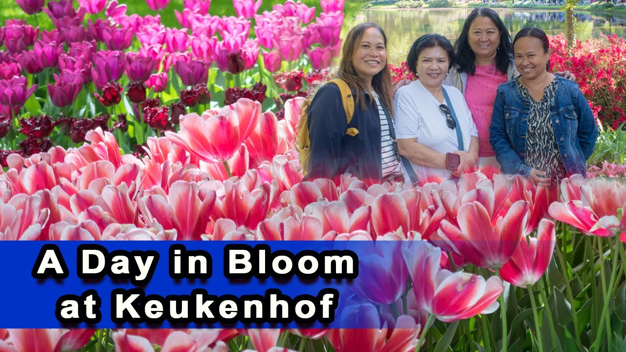 A DAY IN BLOOM AT KEUKENHOF