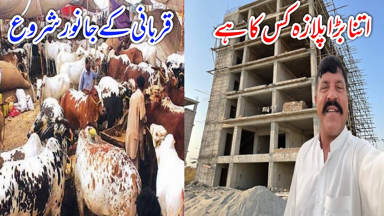 Who such a large plaza | Sacrif animals begin😍