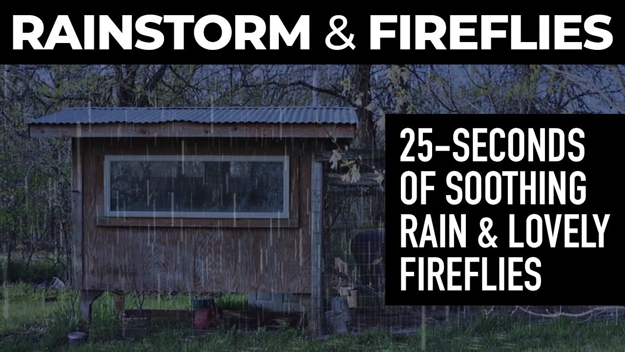 Evening Rain with Fireflies (Lightning Bugs) | Rain On The Homestead | Calming Rain