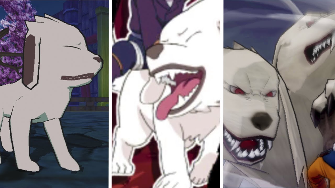 Evolution of Akamaru in Naruto Games (2003-2020)