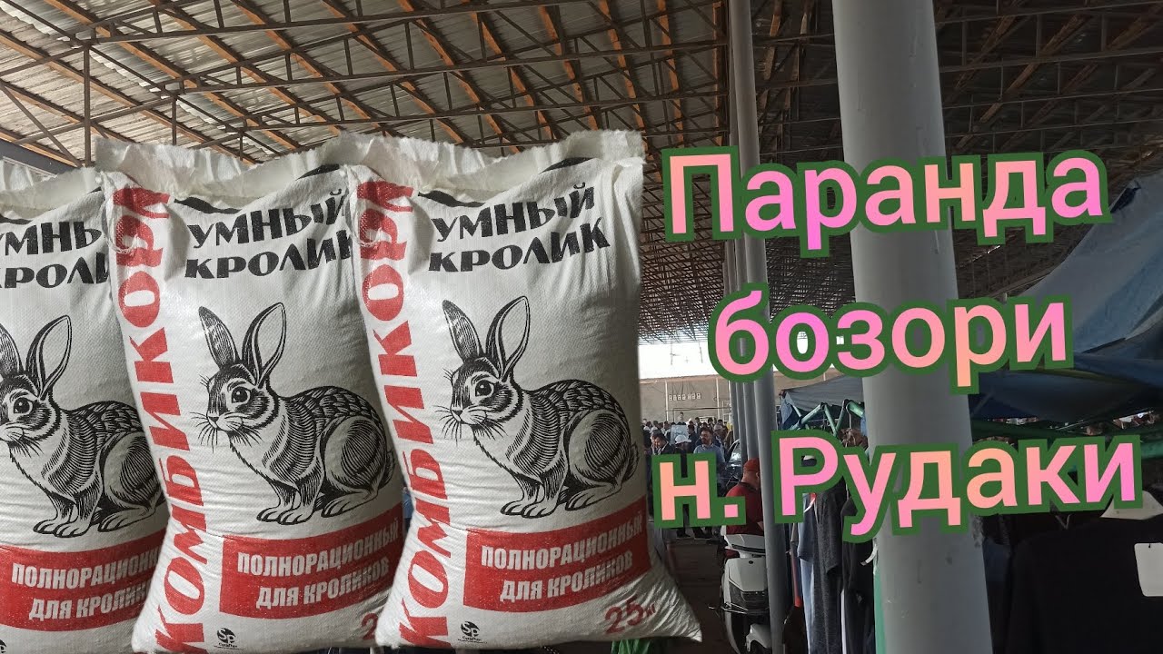 Паранда бозори н. Рудаки 27.04.2025 с...