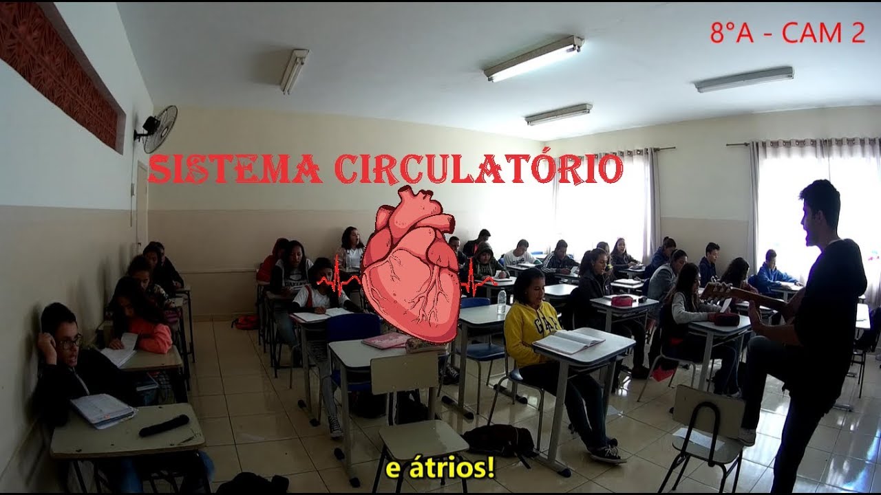 Paródia - Sistema Circulatório (I'm yours)