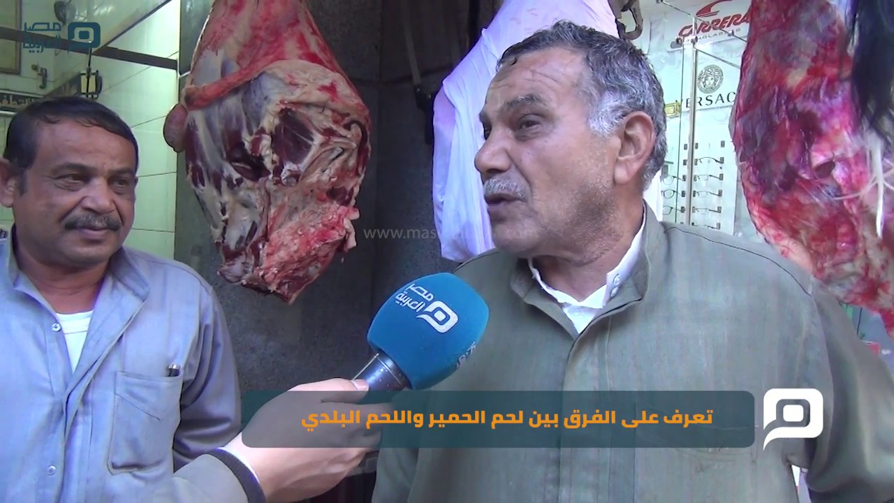 مصر العربية | جزارون يكشفون: 4 علامات للتعرف على لحوم الحمير