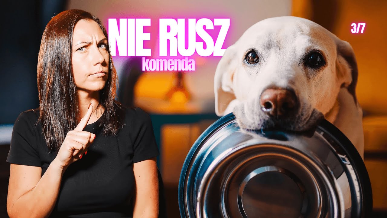 Komenda NIE RUSZ - co robisz źle