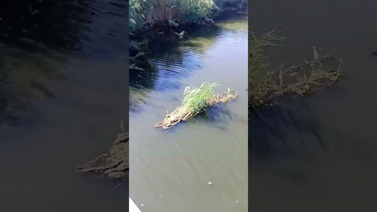 Как люди уничтожают свой дом часть 4