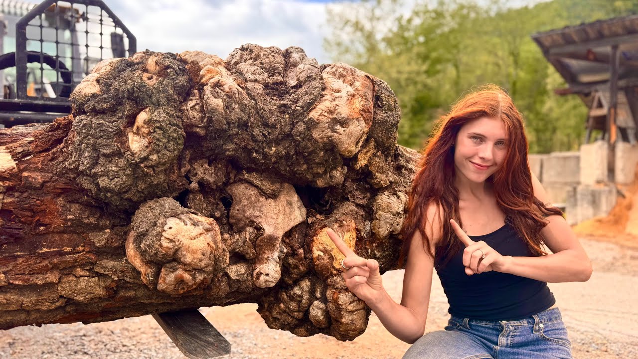 What causes a tree to grow a Burl?