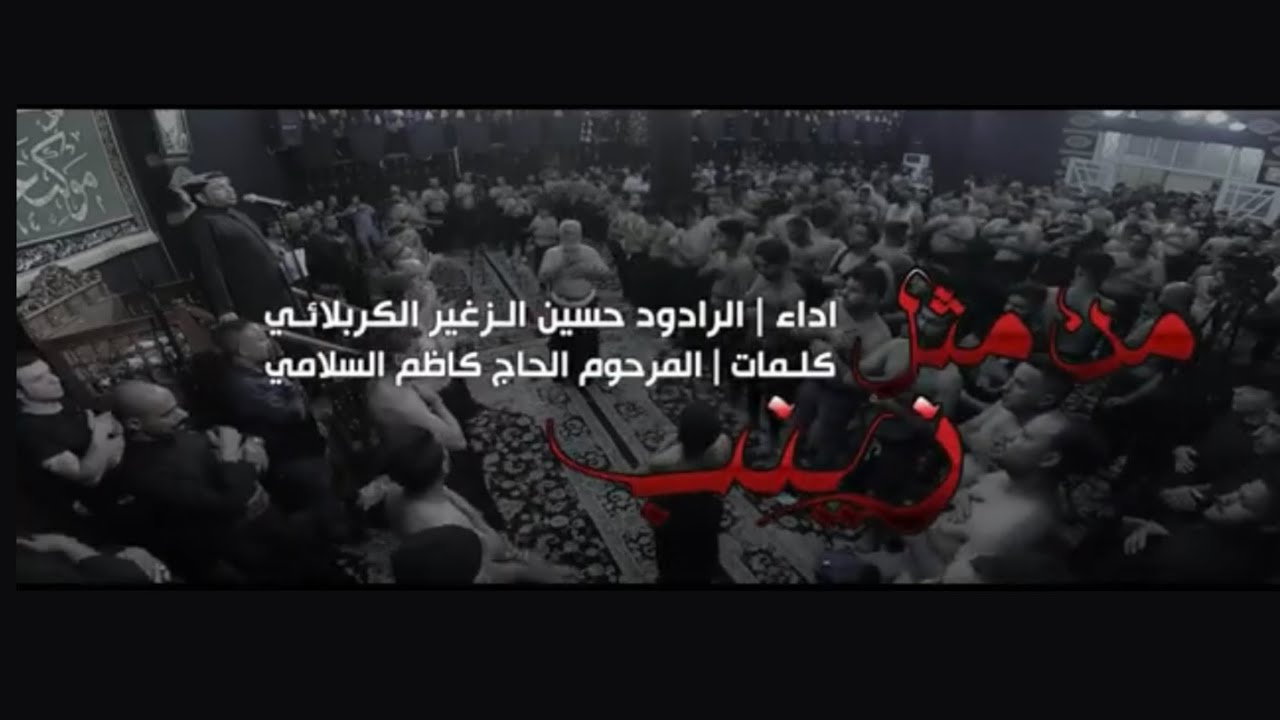 من مثل زينب | الرادود حسين الزغير الكربلائي | موكب عزاء الجواهرية