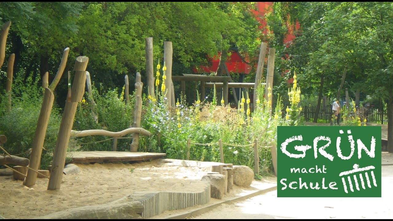 Grün macht Schule | Dokumentarfilm