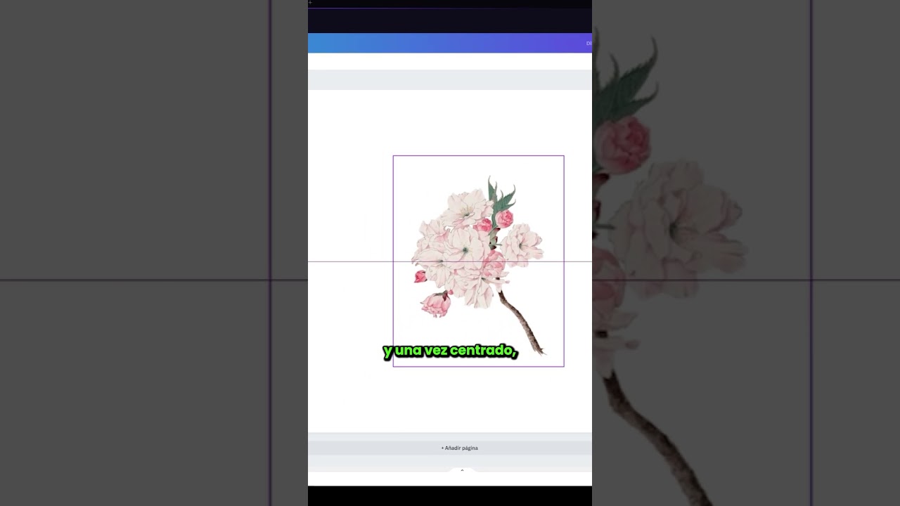 🛍️&iexcl;HAZ ESTO SI QUIERES GANAR DINERO DISE&Ntilde;ANDO CON PRINTIFY Y CANVA!🛍️