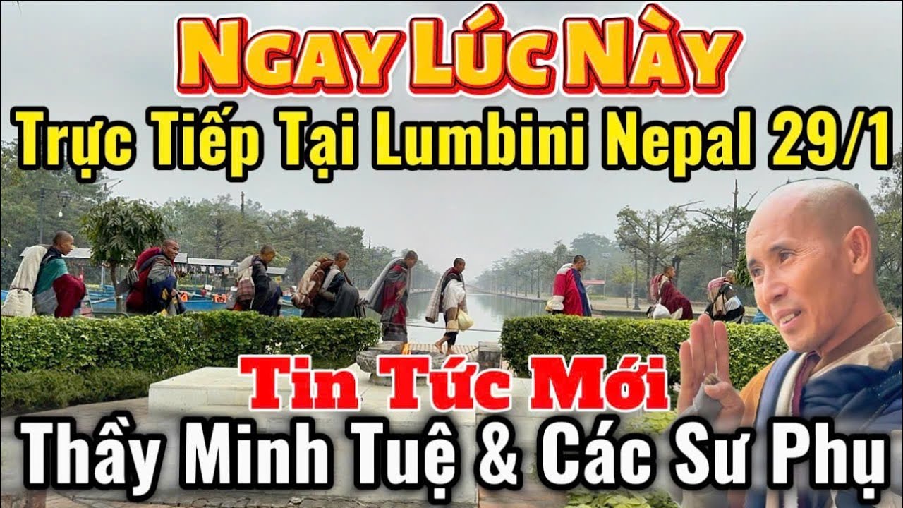 Trực Tiếp Có Gì Mới Hôm Nay? Tin Tức Mới Nhất Thầy Minh Tuệ & Các Sư Phụ Tại Lumbini Nepal 29/1