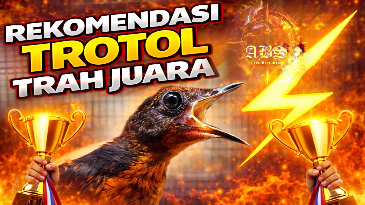 REKOMENDASI LAGI‼️ SIAPA CEPAT SAJA ⚡️