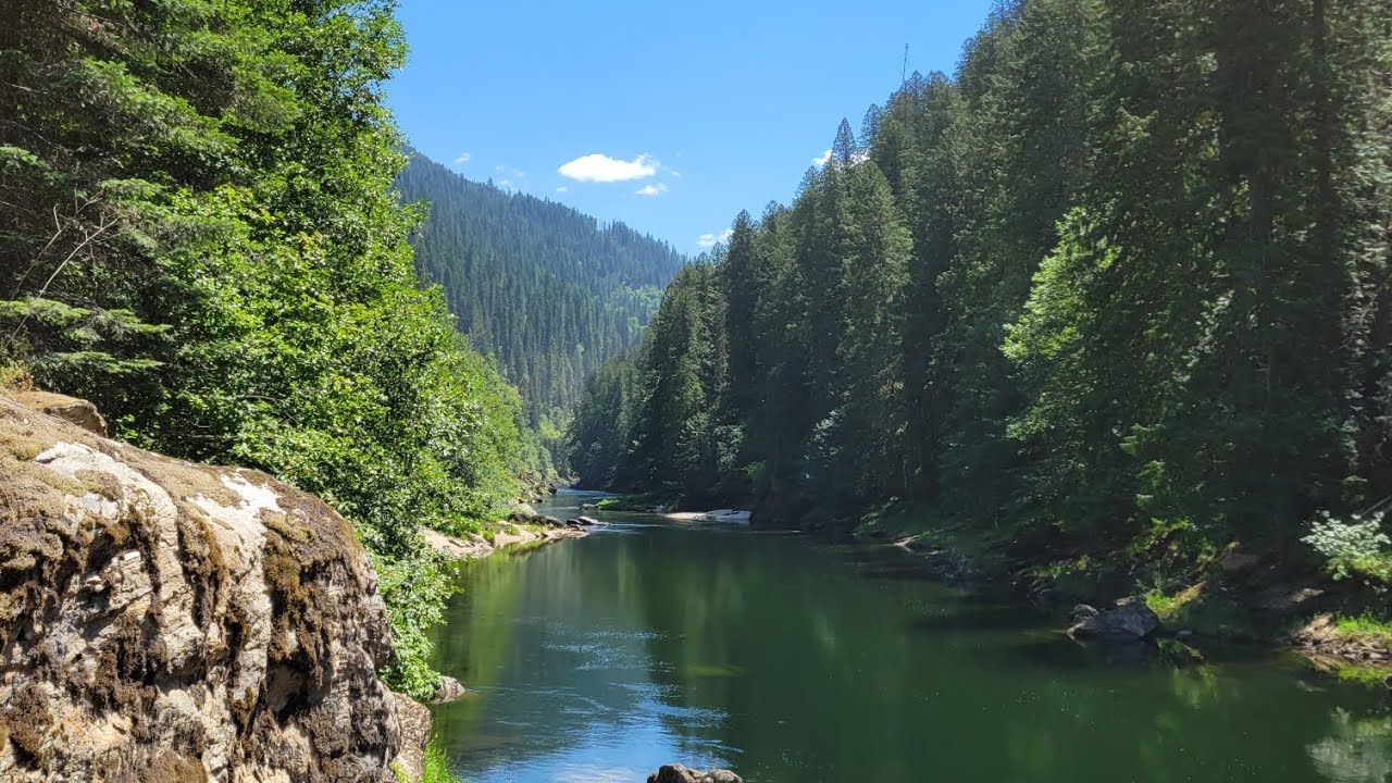 Northfork Adventures 2023!  Fresh Air, Mountains, and Fish.