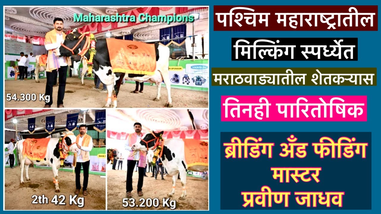 भविष्यात प्रवीण जाधव प्रमाणे गोपालन केले तरच फायदा 