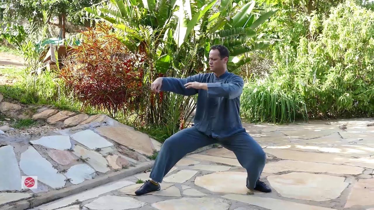 Tai Chi Chuan Estilo Chen - Lao Jia Yi Lu - Movimento 1 a 5 [Pt. 5/5]