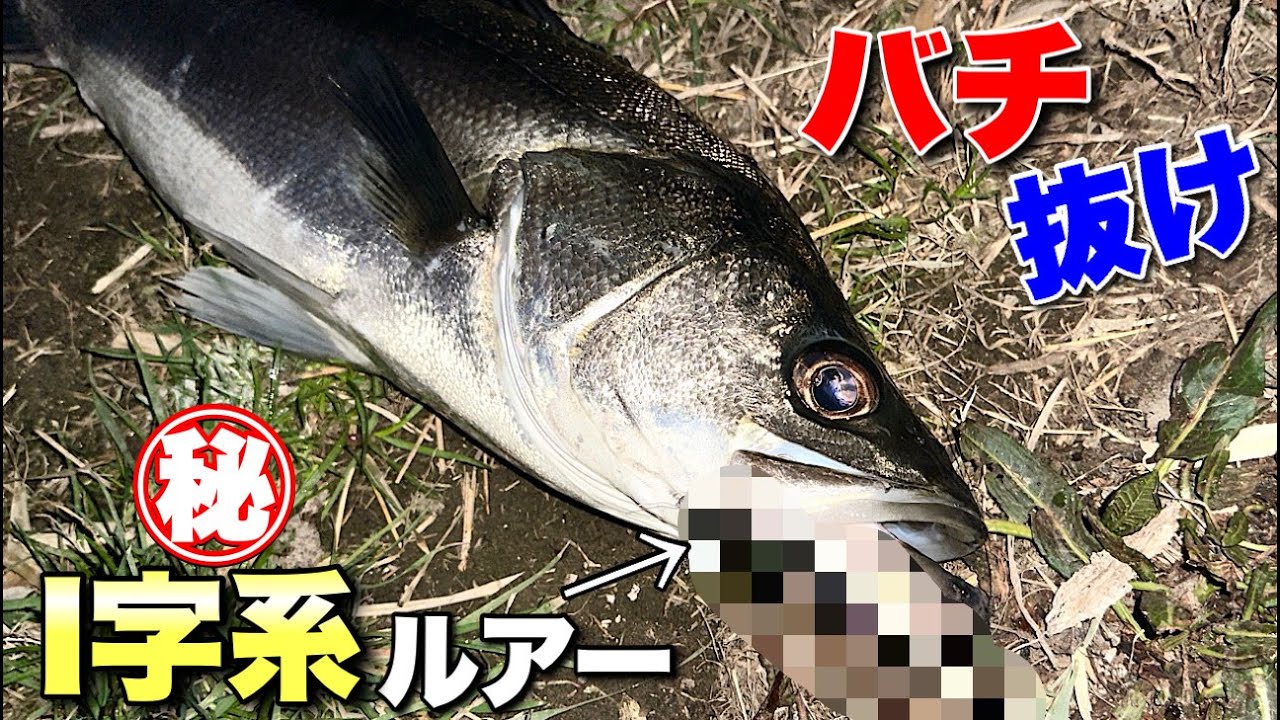 バチ抜けにおすすめ‼︎ルアーローテーション‼︎