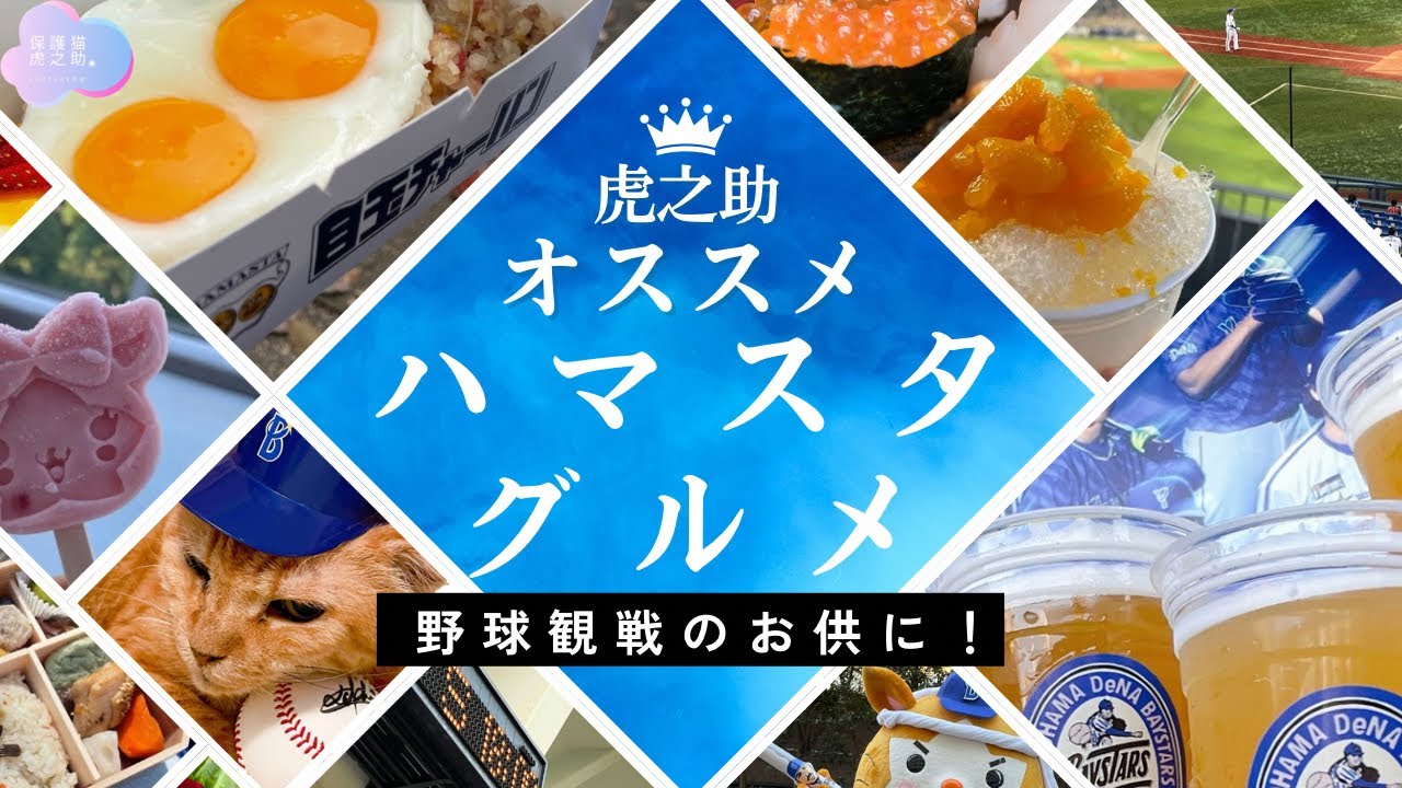 〜ハマスタグルメ紹介〜ボクは行けないけど教えてあげちゃう　虎之助の地元横浜解説編