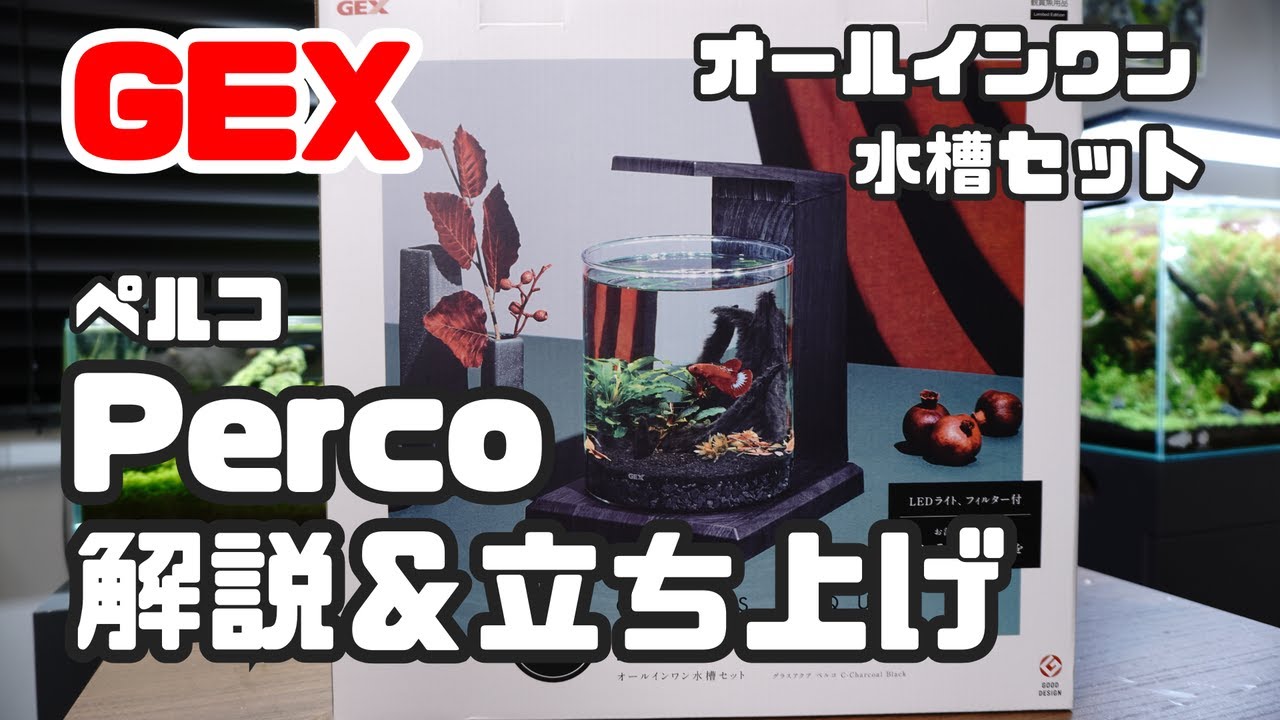 【GEX2025新商品】水槽立ち上げ3連発の第１弾！