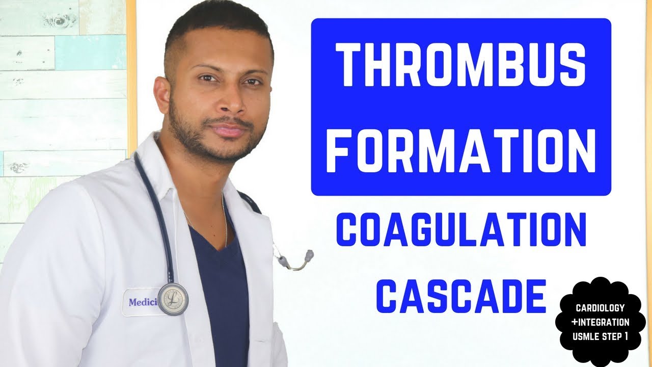 Clot Formation and Coagulation Cascade *USMLE STEP 1*