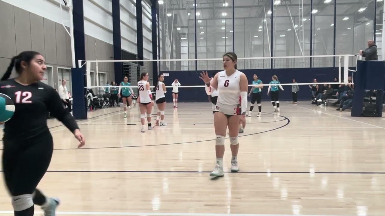 BAVC 16 Jo v Arbuckle 17