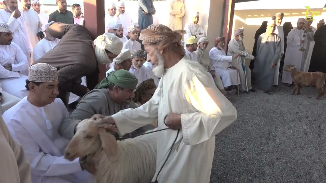 افتتاح سوق بسياء الشعبي وهبطة عيد الفطر 1445 هـــ