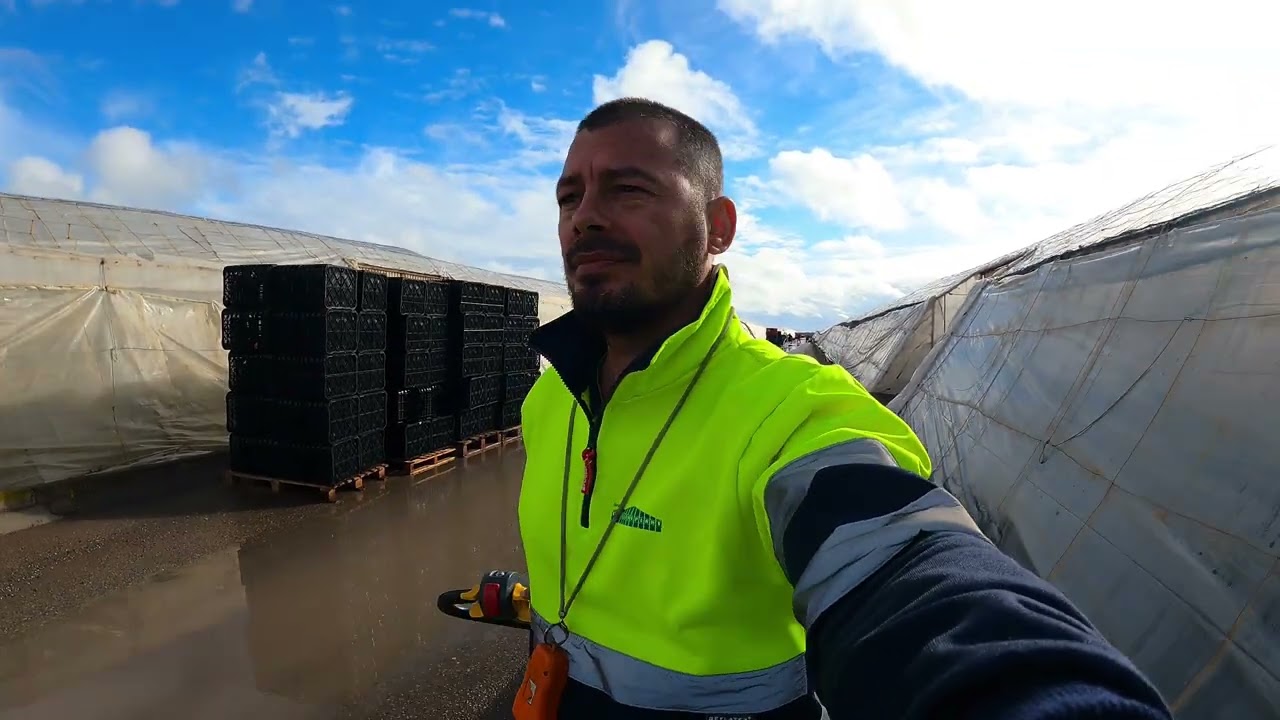 CATI paleti am incarcat SI cate ture A TREBUIT sa fac cu CAMIONUL?